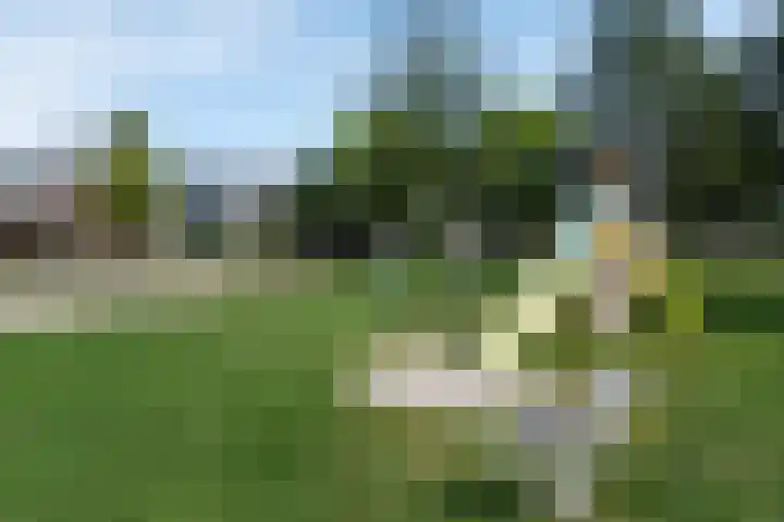 Azalea 8 Nootdorp thumbnail 55