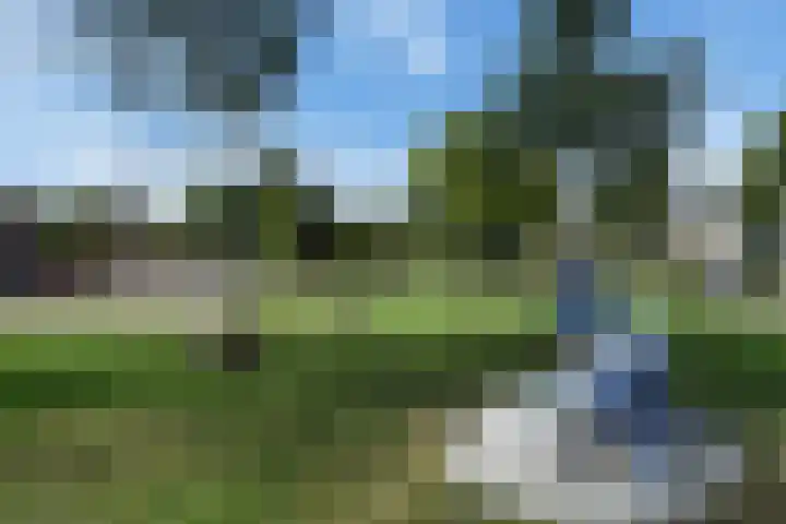 Azalea 8 Nootdorp thumbnail 56