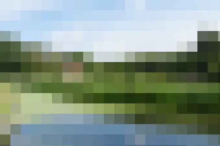 Azalea 8 Nootdorp thumbnail 58