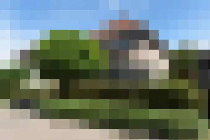 Azalea 8 Nootdorp thumbnail 65