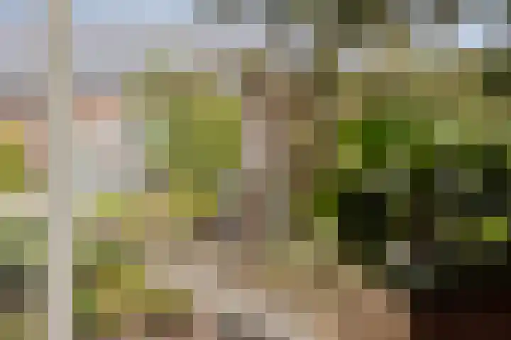Azaleahof 4 Made thumbnail 12