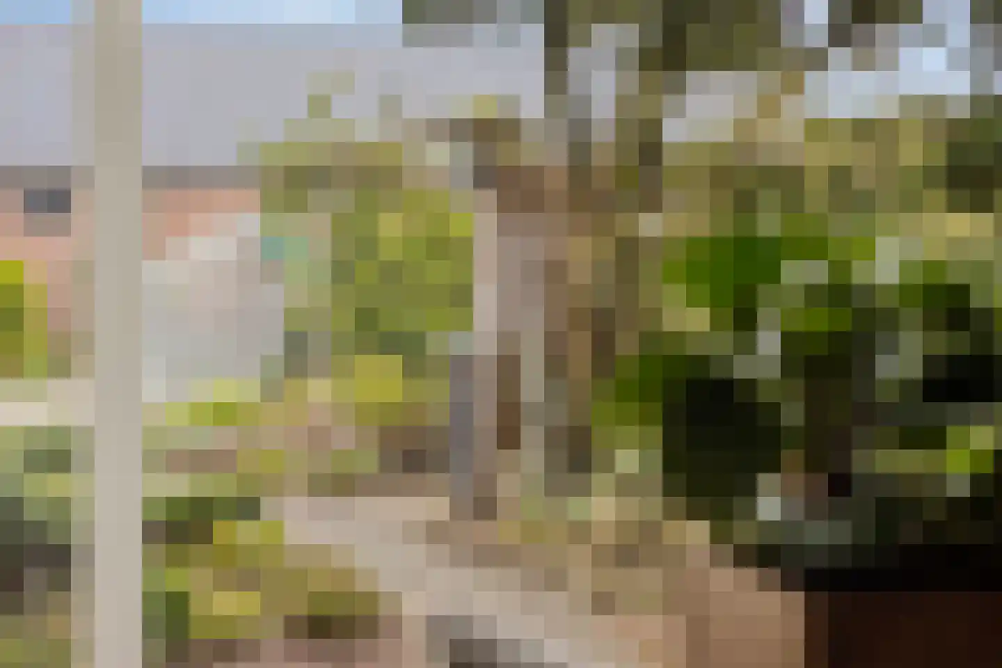 Azaleahof 4 Made thumbnail 14