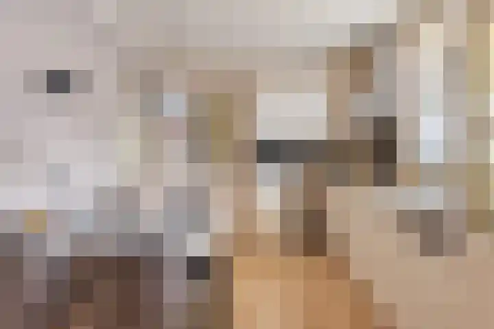 Azaleahof 4 Made thumbnail 17