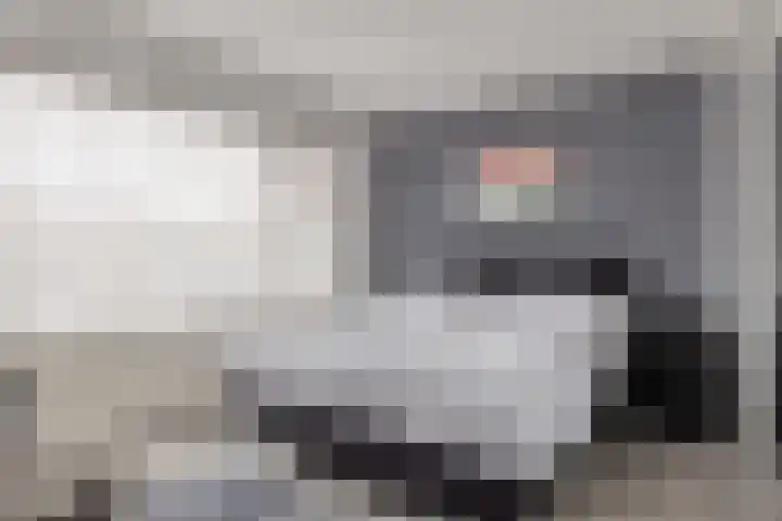 Azaleahof 4 Made thumbnail 20