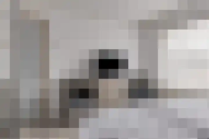 Azaleahof 4 Made thumbnail 21