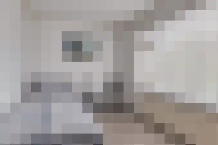 Azaleahof 4 Made thumbnail 22