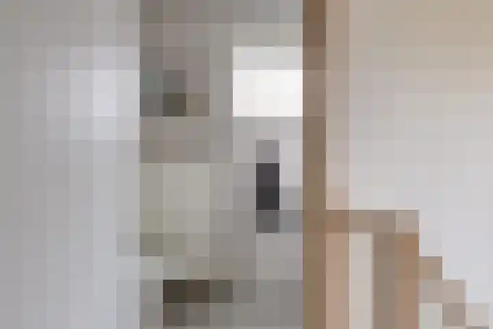 Azaleahof 4 Made thumbnail 26