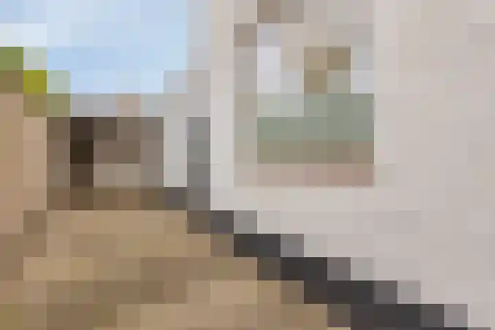 Azaleahof 4 Made thumbnail 33