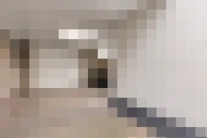Azaleahof 4 Made thumbnail 34