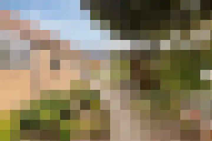 Azaleahof 4 Made thumbnail 35