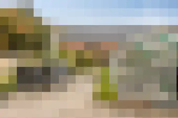 Azaleahof 4 Made thumbnail 36