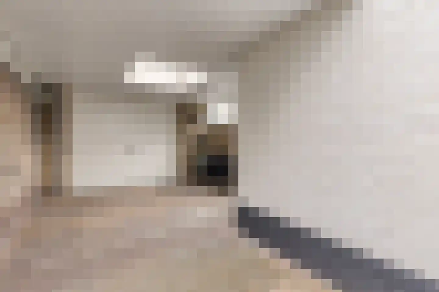 Azaleahof 4 Made thumbnail 36