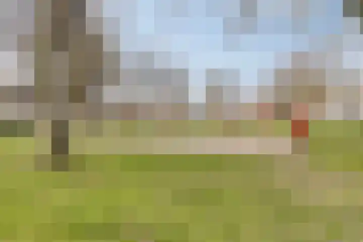 Azaleahof 4 Made thumbnail 38