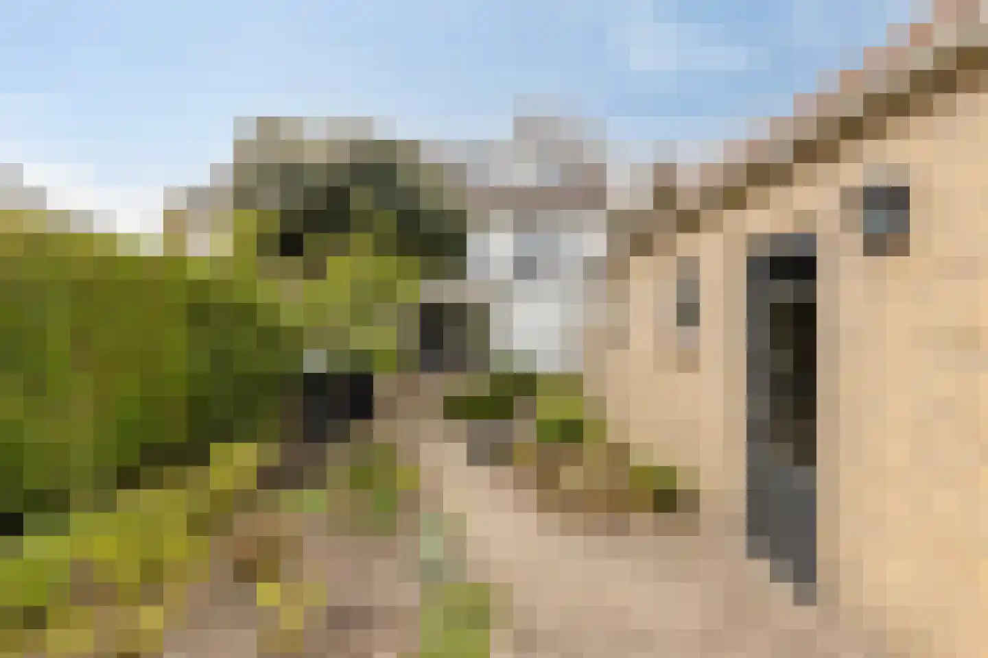 Azaleahof 4 Made thumbnail 39