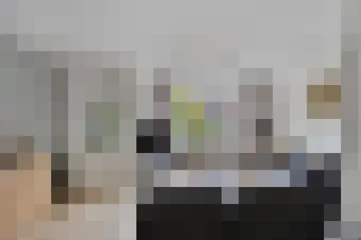 Azaleahof 49 Zundert thumbnail 10