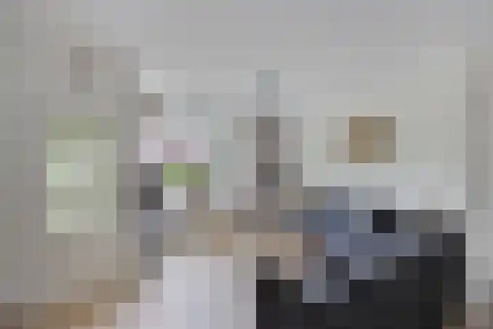 Azaleahof 49 Zundert thumbnail 11