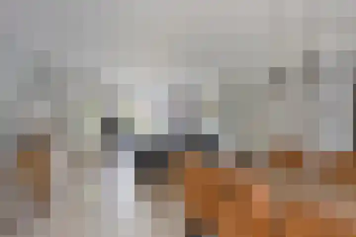 Azaleahof 49 Zundert thumbnail 15