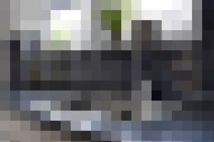 Azaleahof 49 Zundert thumbnail 19