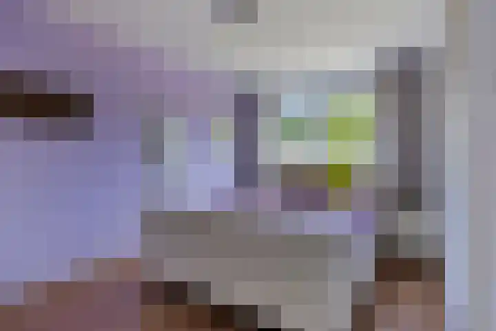 Azaleahof 49 Zundert thumbnail 26