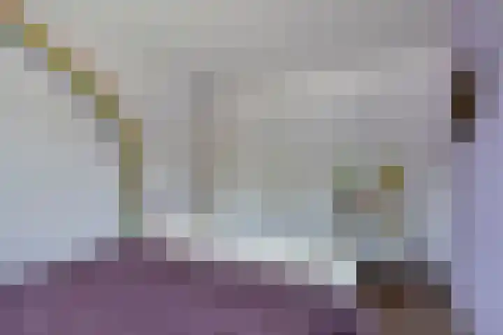 Azaleahof 49 Zundert thumbnail 27