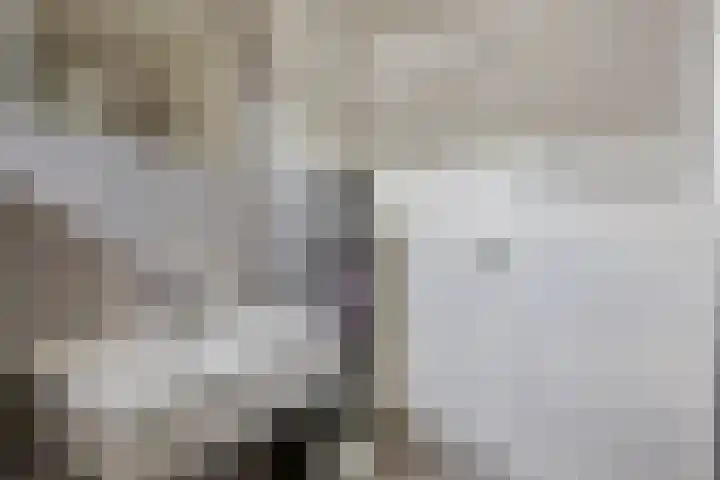 Azaleahof 49 Zundert thumbnail 30