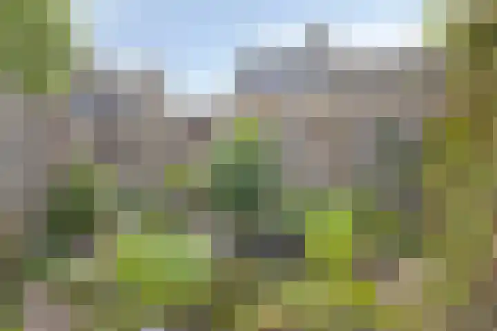 Azaleahof 49 Zundert thumbnail 42