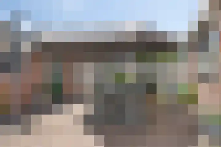 Azaleahof 49 Zundert thumbnail 6