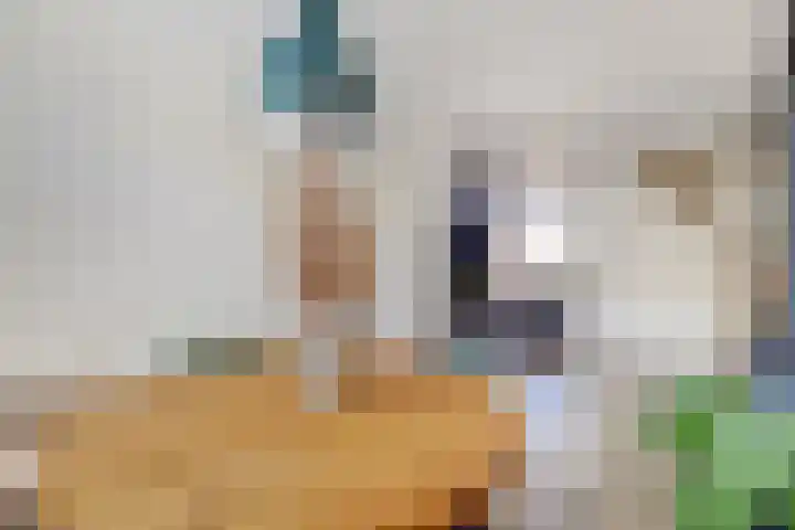 Azaleahof 8 Waalwijk thumbnail 11