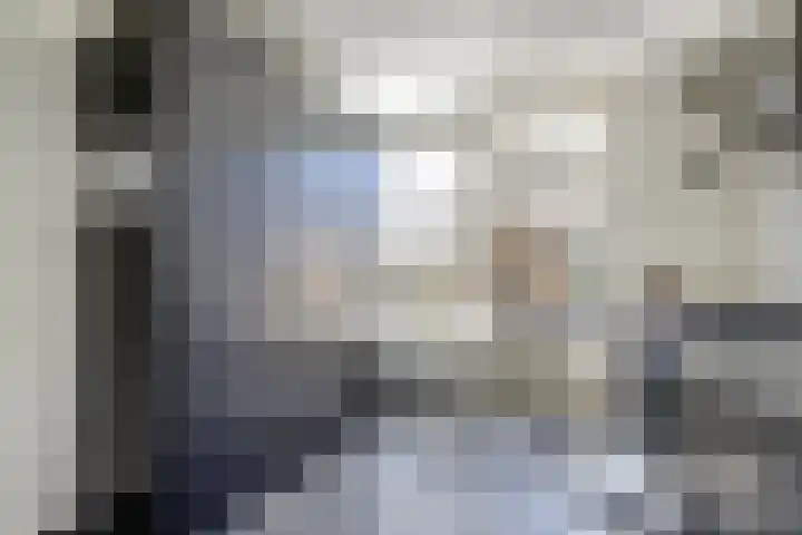 Azaleahof 8 Waalwijk thumbnail 13