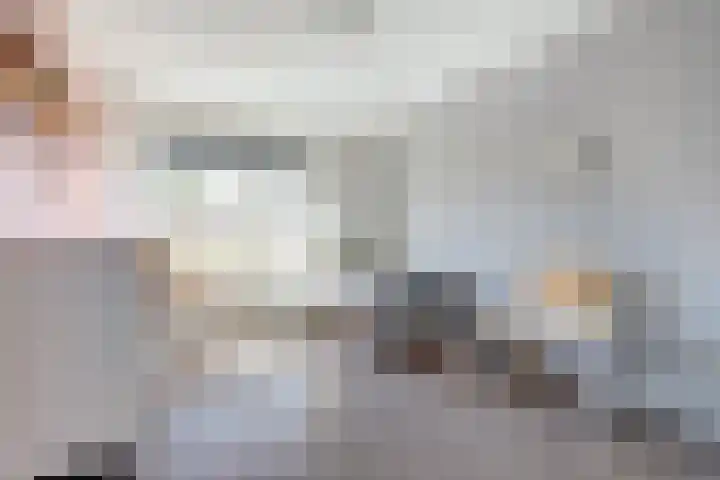 Azaleahof 8 Waalwijk thumbnail 17