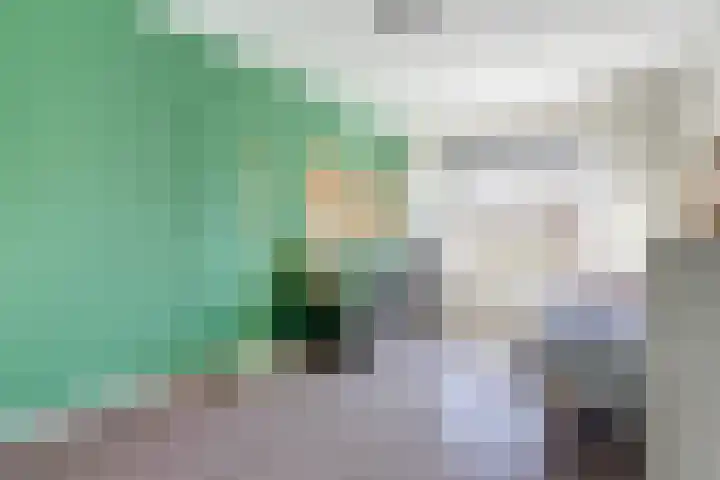 Azaleahof 8 Waalwijk thumbnail 19