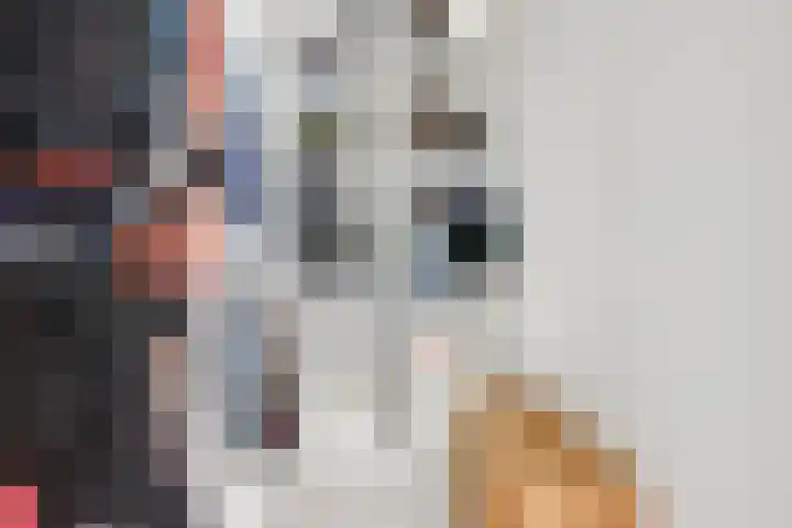 Azaleahof 8 Waalwijk thumbnail 21