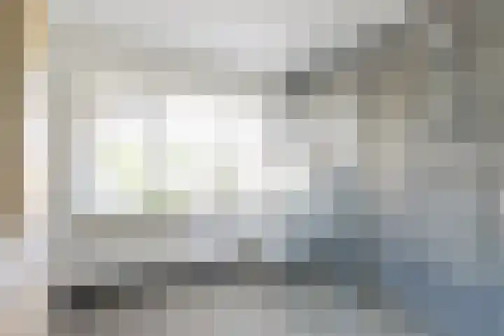 Azaleahof 8 Waalwijk thumbnail 22