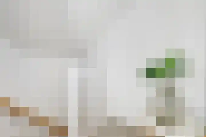 Azaleahof 8 Waalwijk thumbnail 25