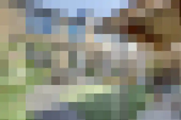 Azaleahof 8 Waalwijk thumbnail 28