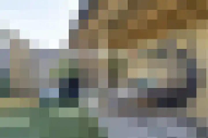 Azaleahof 8 Waalwijk thumbnail 29