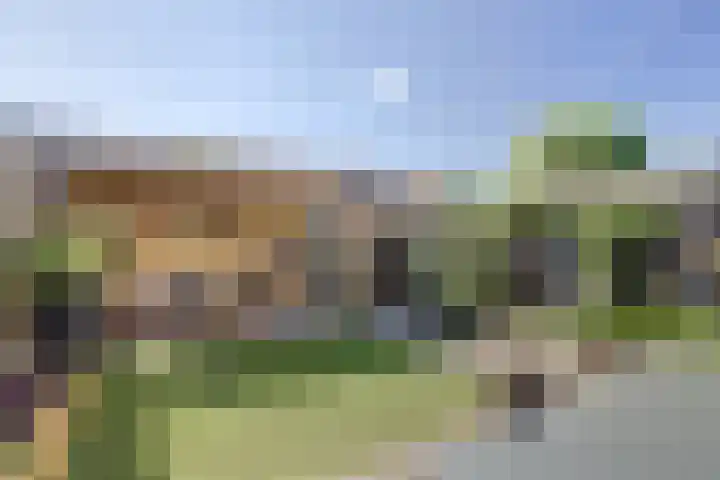 Azaleahof 8 Waalwijk thumbnail 30