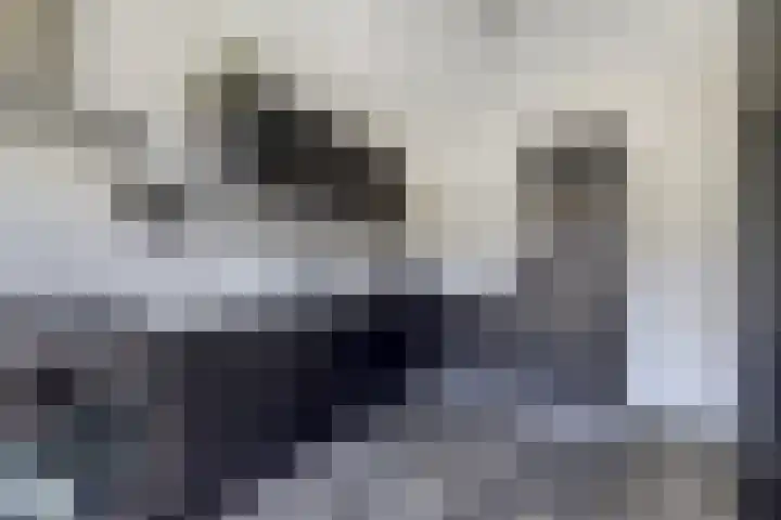 Azaleahof 8 Waalwijk thumbnail 4