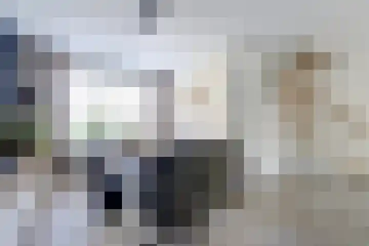 Azaleahof 8 Waalwijk thumbnail 8
