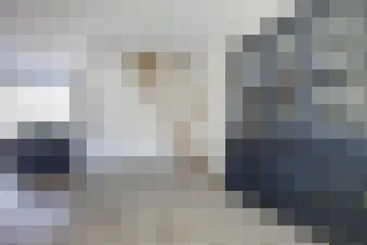 Azaleahof 8 Waalwijk thumbnail 9