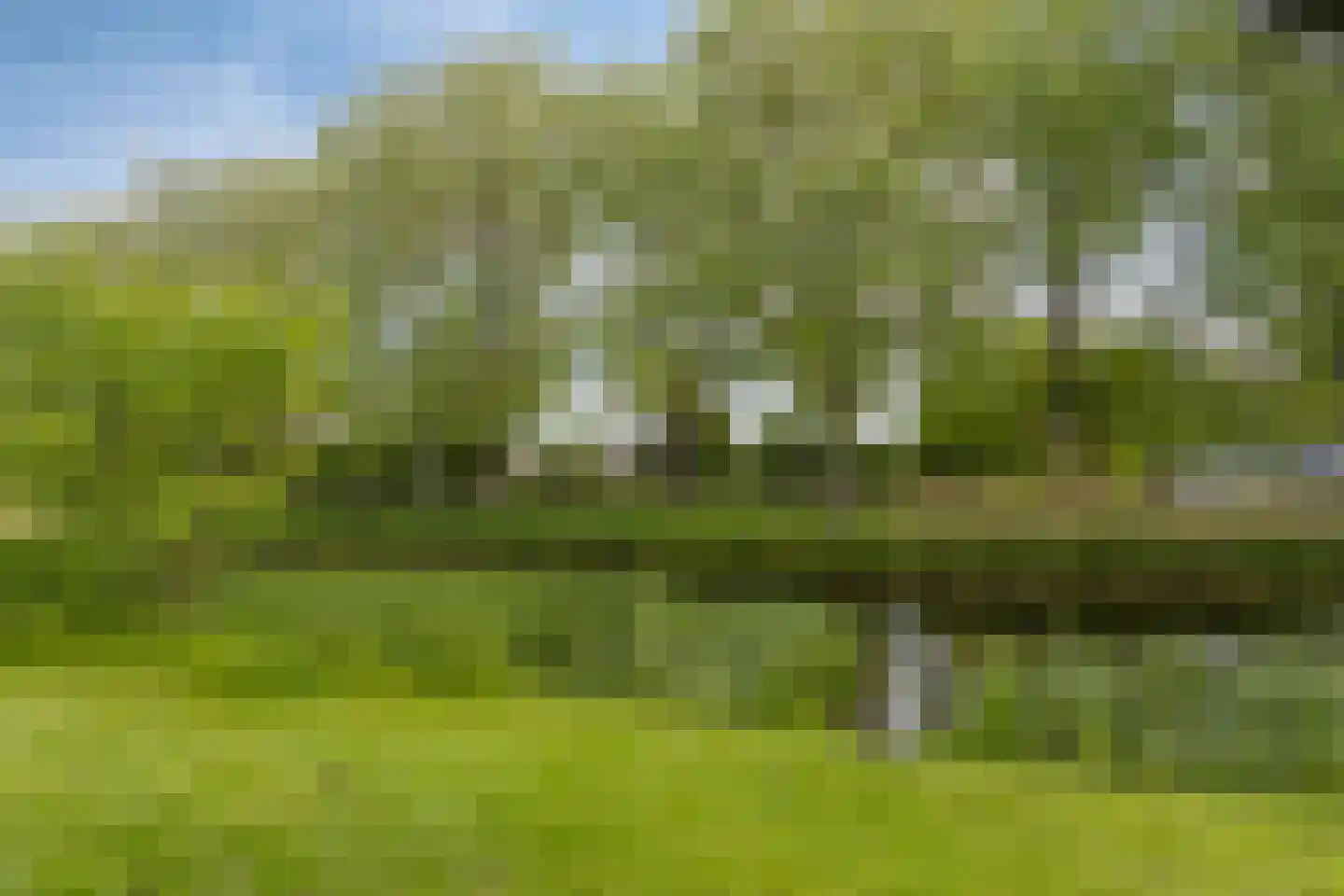 Azalealaan 17 Heerhugowaard thumbnail 39