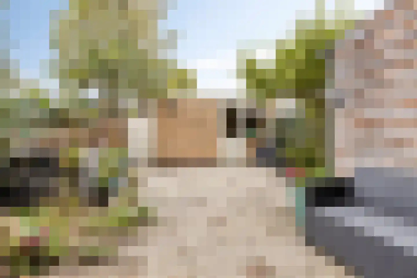 Azalealaan 24 Heerhugowaard thumbnail 23