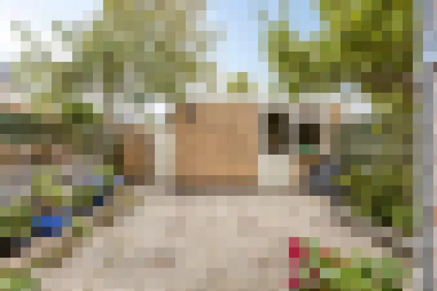 Azalealaan 24 Heerhugowaard thumbnail 24