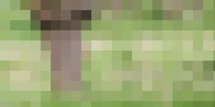 Azalealaan 3 Boskoop thumbnail 15