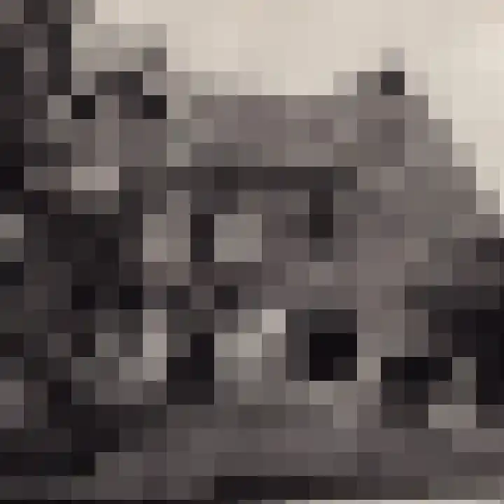 Azalealaan 3 Boskoop thumbnail 19