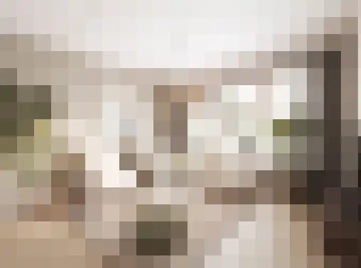 Azalealaan 3 Boskoop thumbnail 7