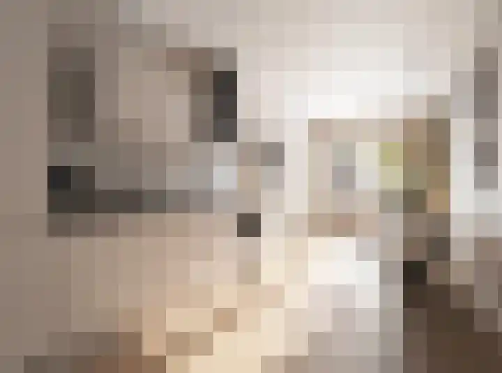Azalealaan 3 Boskoop thumbnail 8