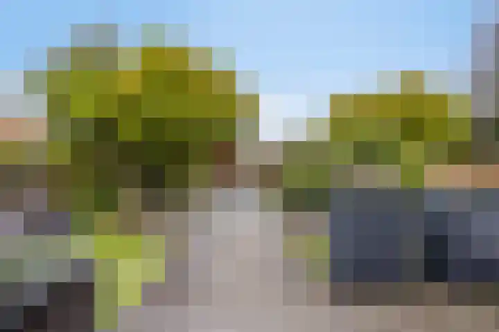 Azalealaan 39 Boskoop thumbnail 32