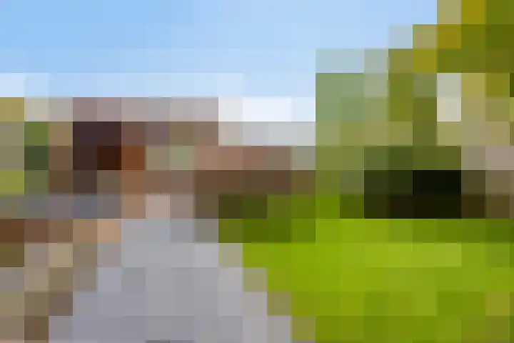 Azalealaan 39 Boskoop thumbnail 33