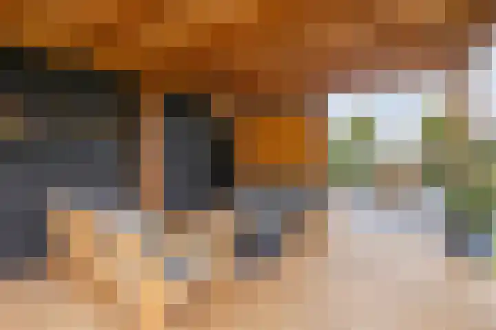 Azalealaan 39 Boskoop thumbnail 34